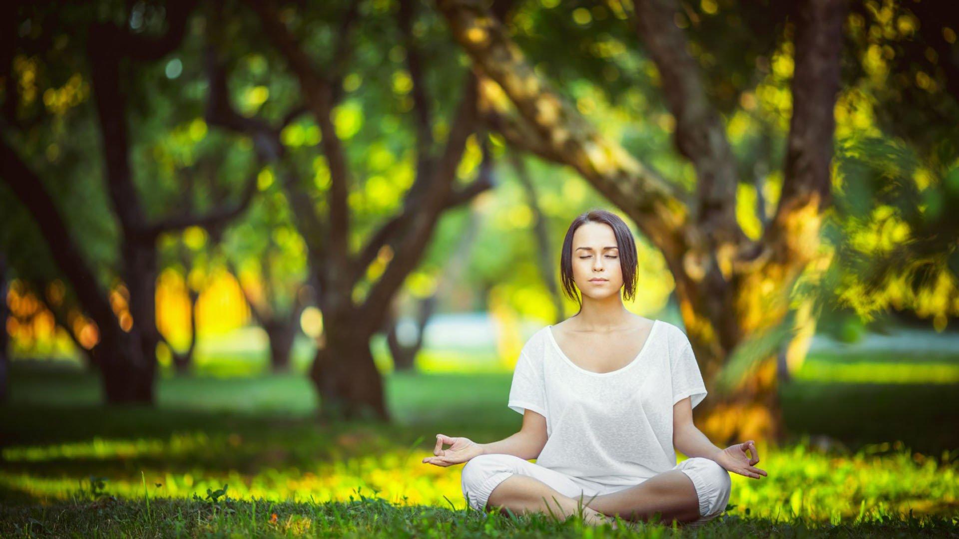 林皇试训期友谊赛破门,自由身球员有望签约新东家